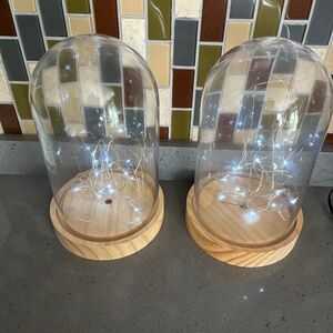 2 clear cloche glass dome with LED lights